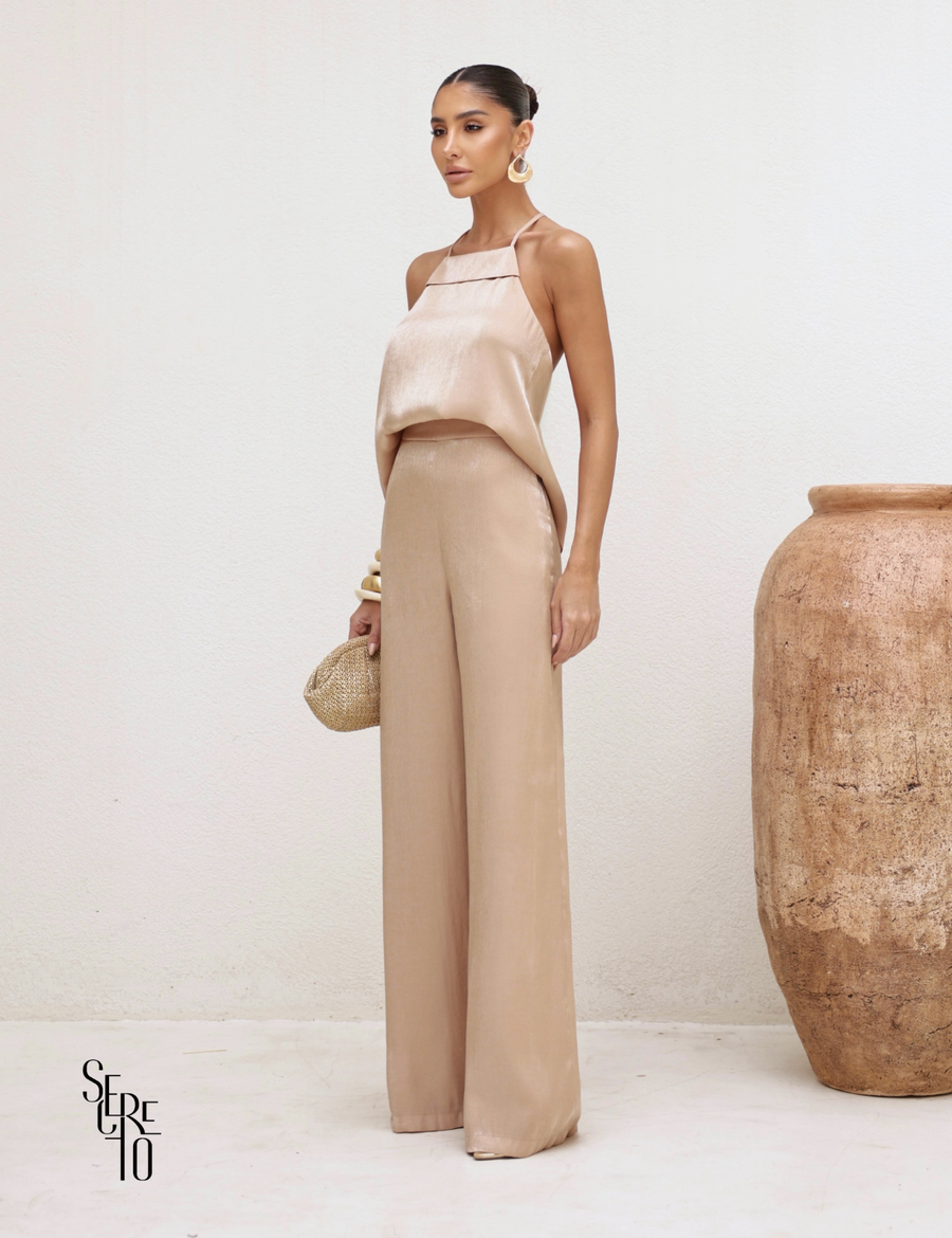 Conjunto Detalhe Costas e Amarração Daniella Dourado